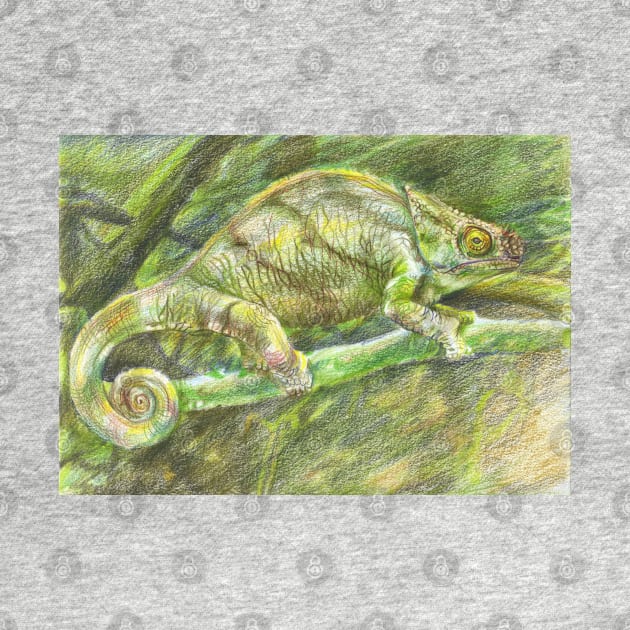 chameleon. color pencil by lisenok